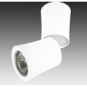 Светильник накладной LIGHTSTAR Rotonda 214456
